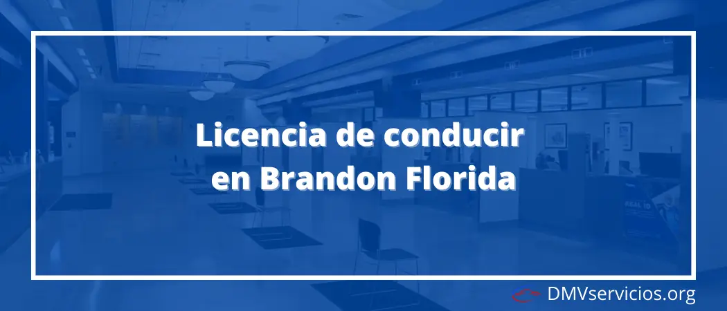 Licencia de conducir Brandon Florida