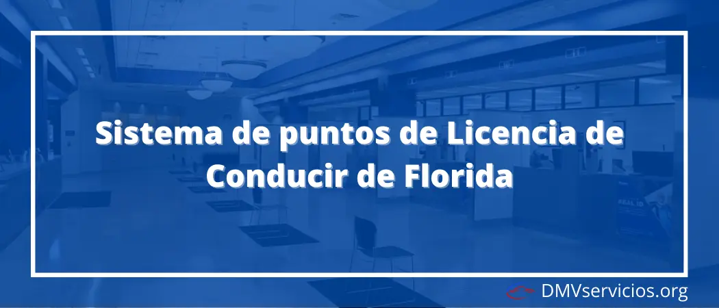 Sistema de puntos de Licencia de Conducir de Florida