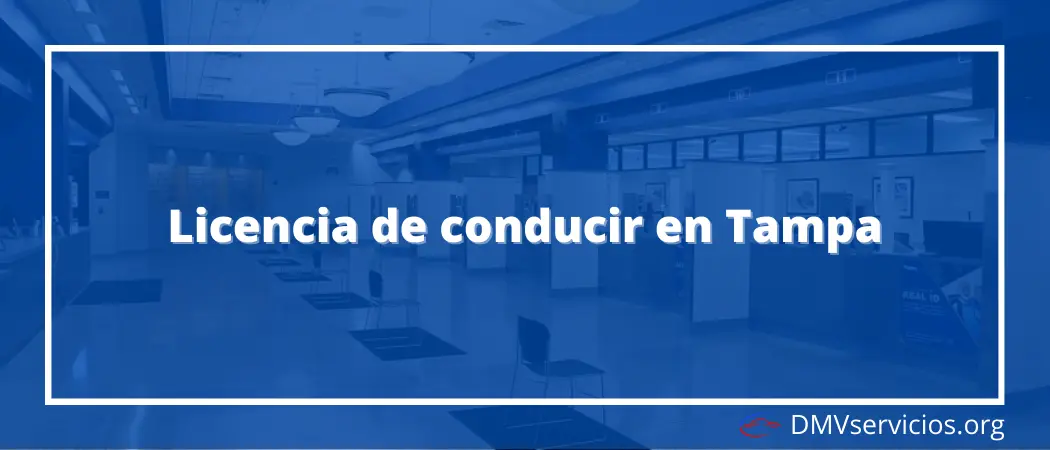 Todo sobre la licencia de conducir en Tampa