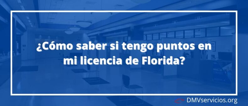 ¿Cómo saber si tengo puntos en mi licencia de Florida?