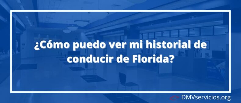 ¿Cómo puedo ver mi historial de conducir de Florida?